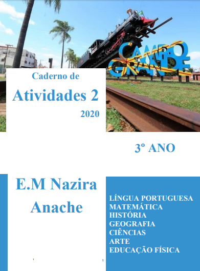 Caderno de Atividade 3º Ano